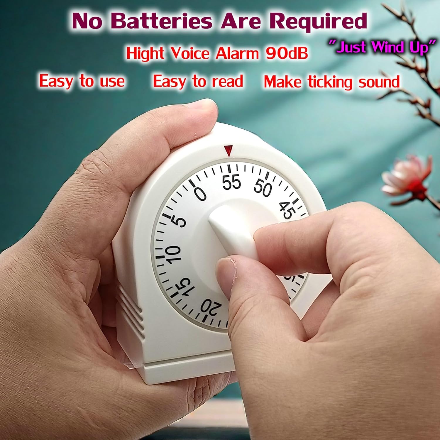 60 Minute Mechanical Timer, Lo - Digital Timer Countdown review and price